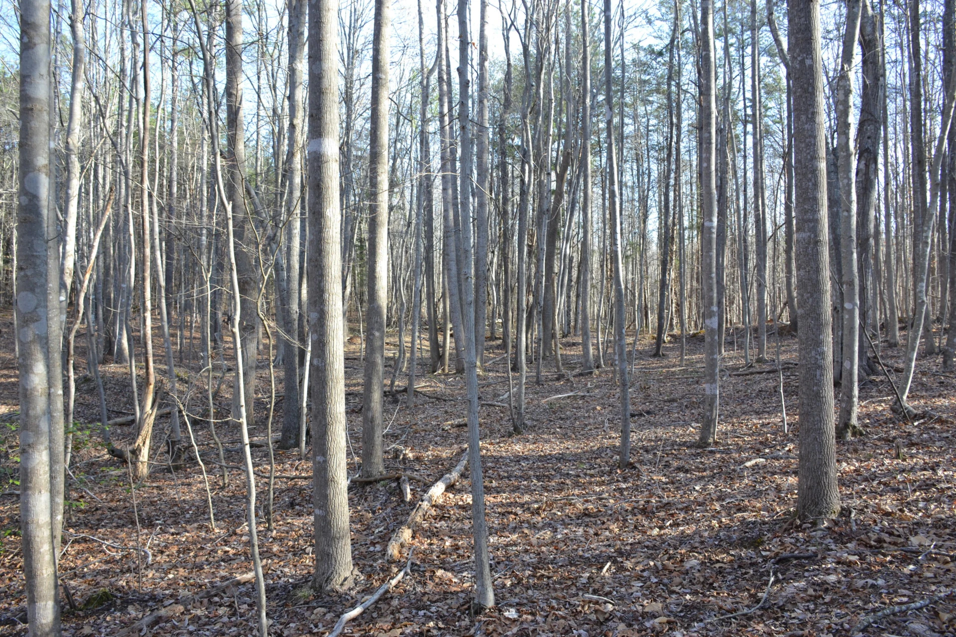 15796 E Gretna RD - Photo 50