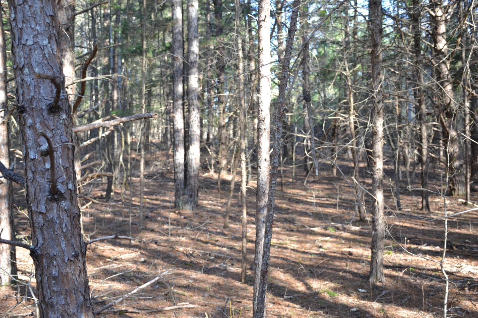 15796 E Gretna RD - Photo 53