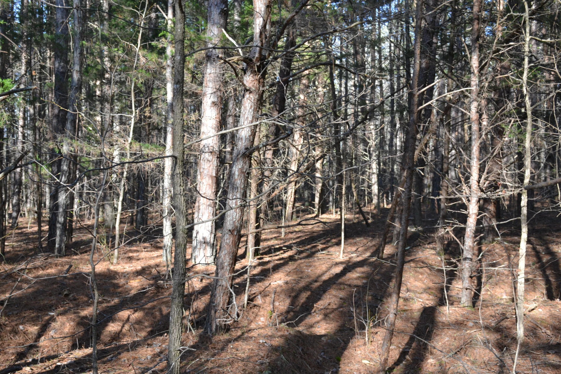 15796 E Gretna RD - Photo 54