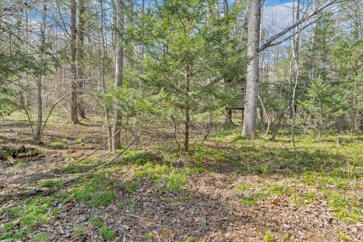 75 Johns Creek RD - Photo 61