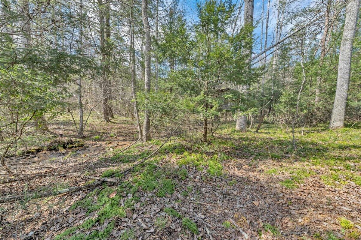 75 Johns Creek RD - Photo 62