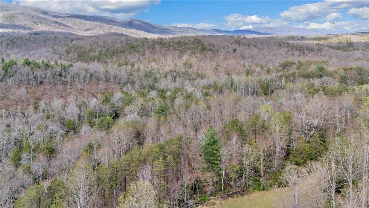 75 Johns Creek RD - Photo 85