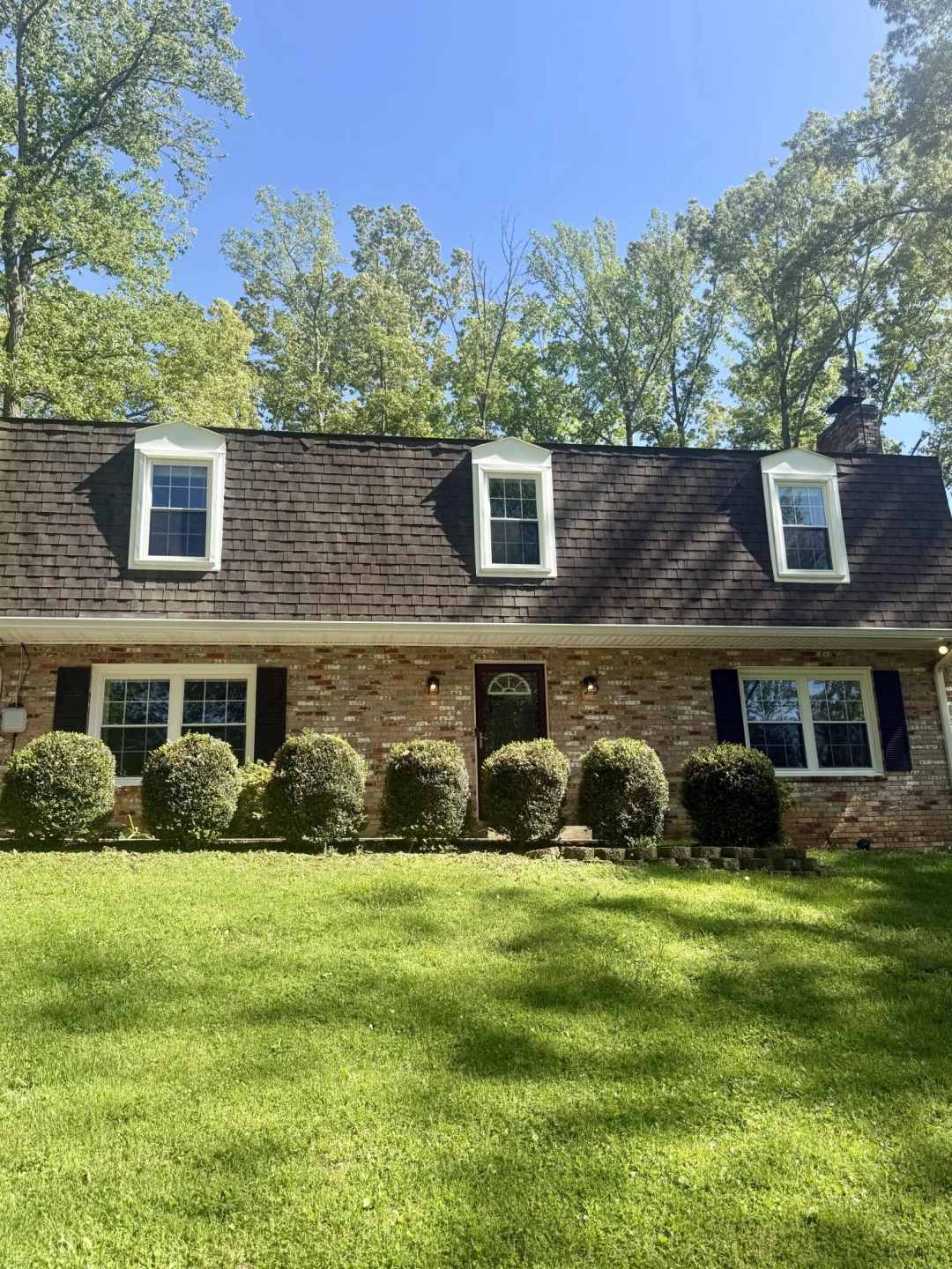 1764 Hidden Forest DR - Photo 3