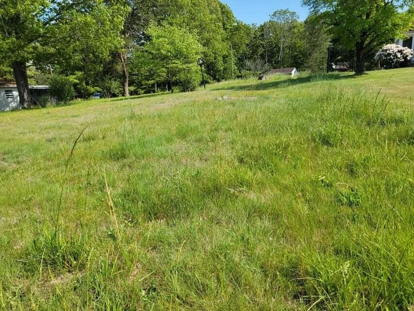 0 Keagy RD - Photo 2