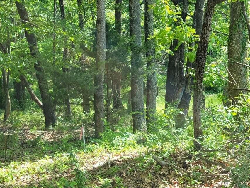 0 Keagy RD - Photo 3