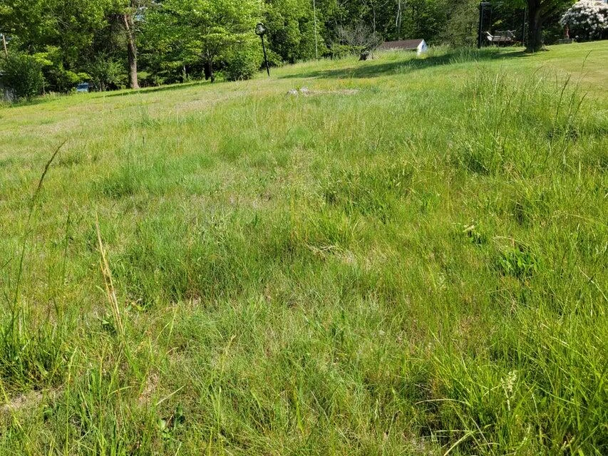 0 Keagy RD - Photo 4
