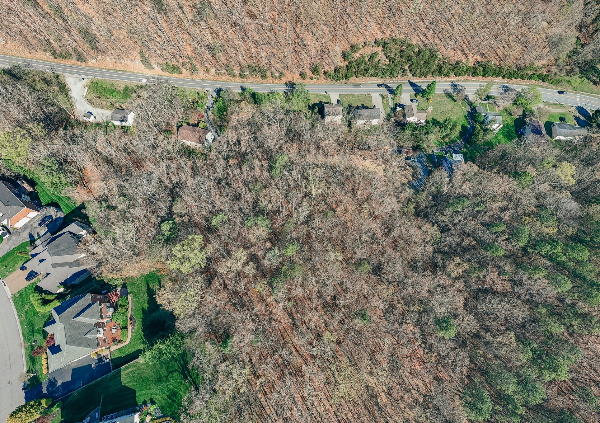 3790 Buck Mountain RD - Photo 4