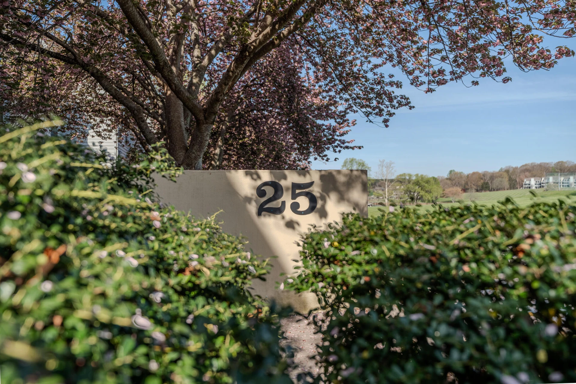 25 Clubhouse Towers CIR #UNIT 707 - Photo 6