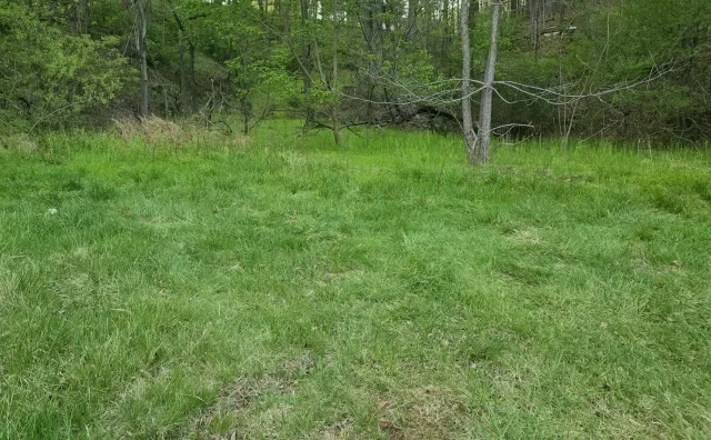 6993 Franklin RD, Boones Mill, VA, 24065