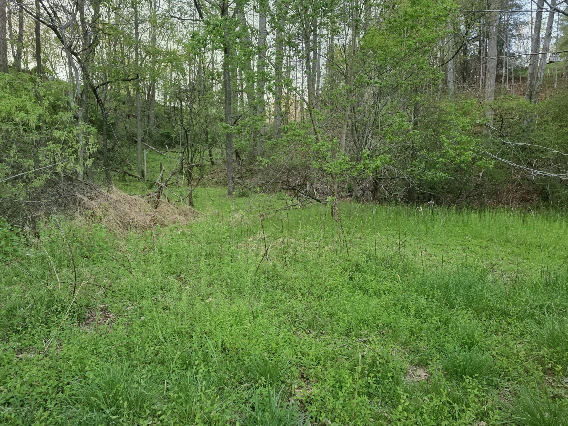 6993 Franklin RD - Photo 2