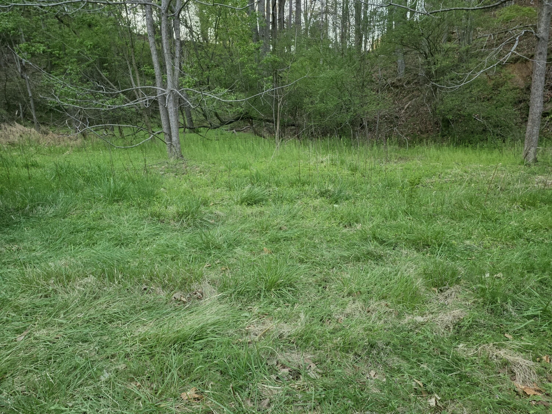 6993 Franklin RD - Photo 3