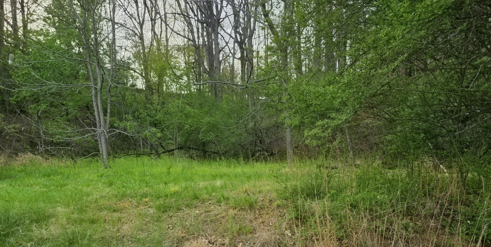 6993 Franklin RD - Photo 4