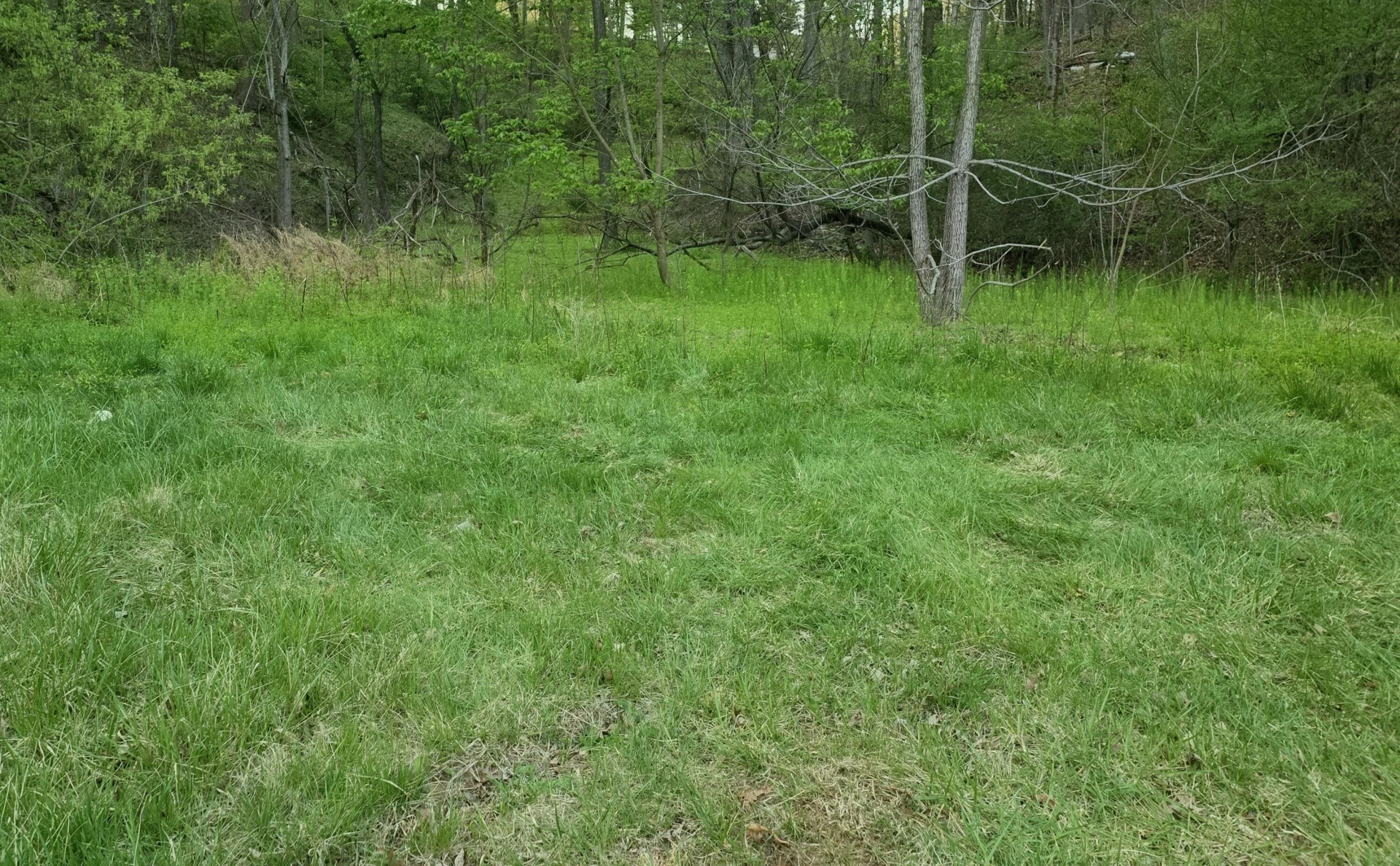 6993 Franklin RD - Photo 5