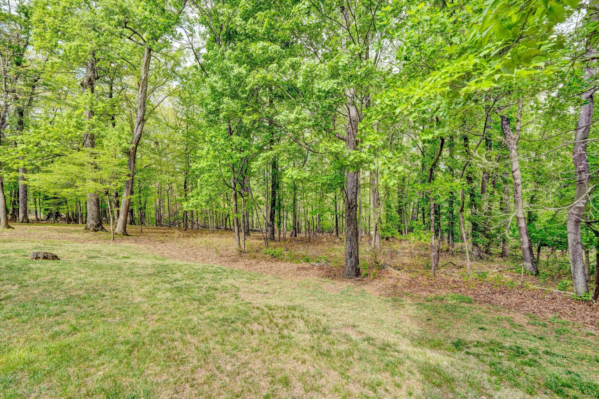 3925 Winding Way RD SW - Photo 50