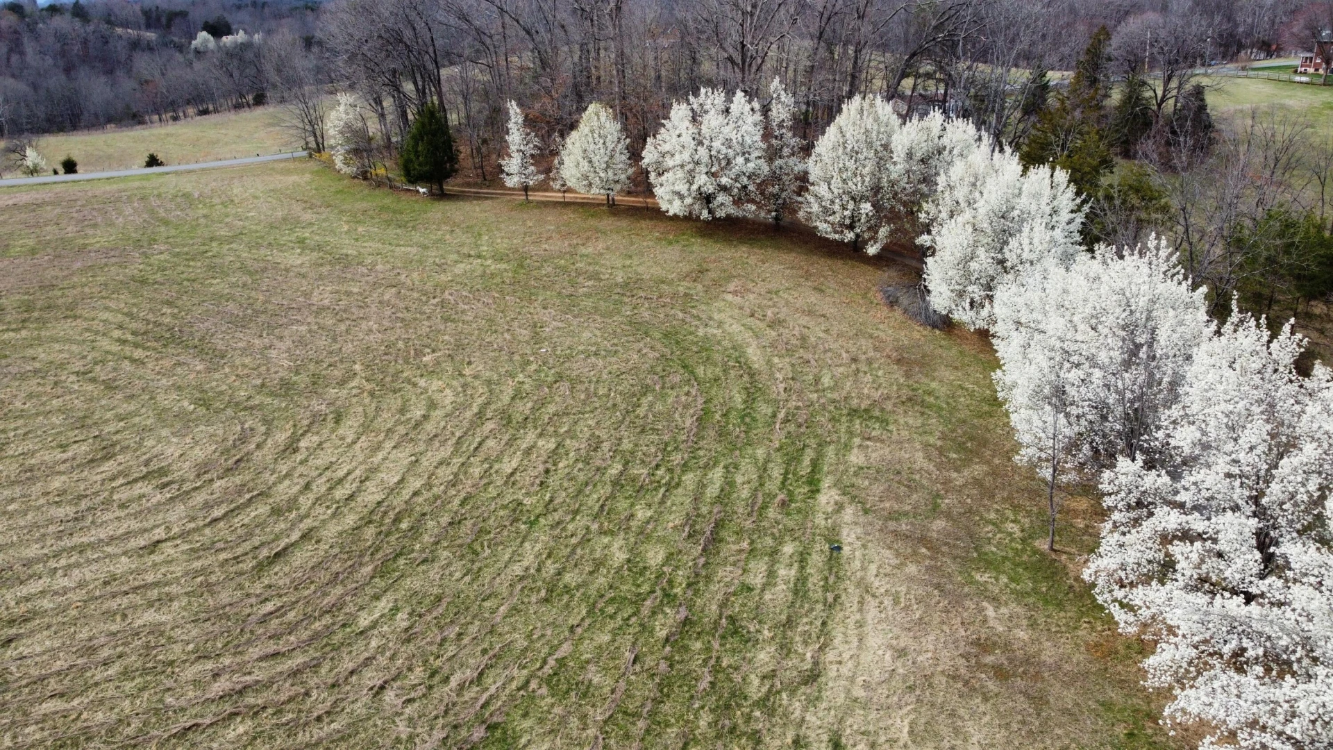 2578 Spradlin RD - Photo 3