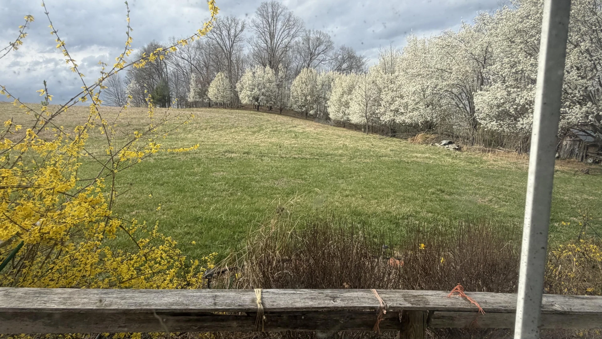 2578 Spradlin RD - Photo 8