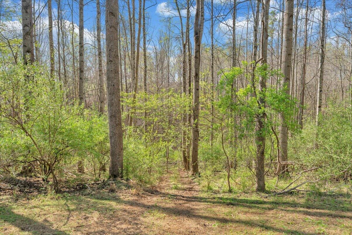 105 CHEROKEE LN - Photo 32
