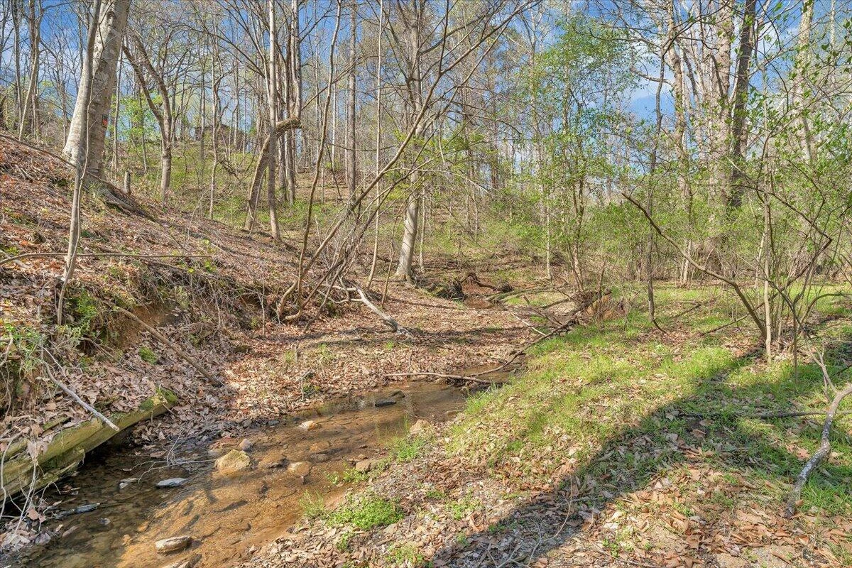 105 CHEROKEE LN - Photo 38