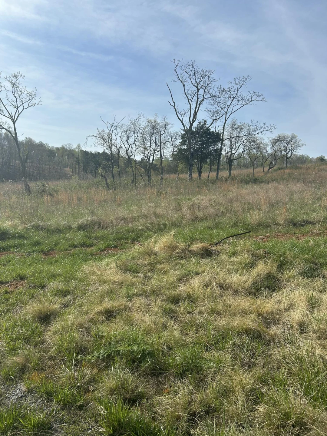 Lot 26 Springsteen CIR - Photo 3
