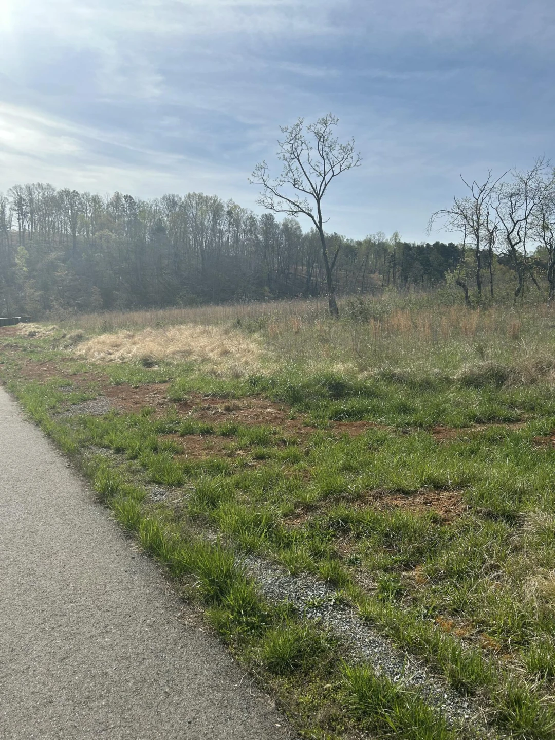 Lot 26 Springsteen CIR - Photo 4