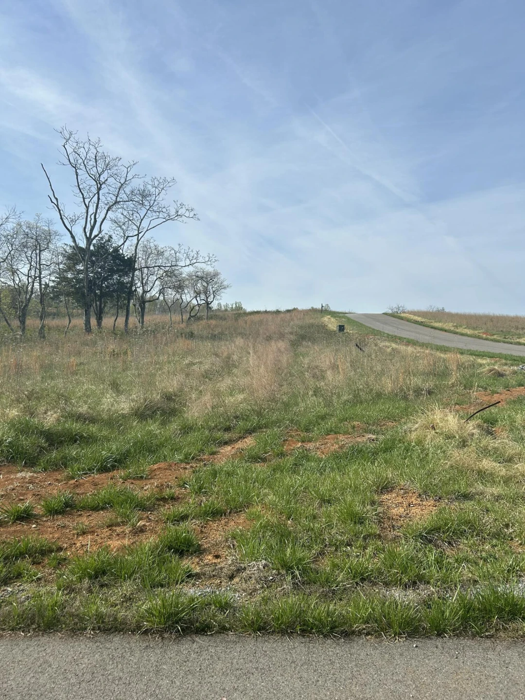 Lot 26 Springsteen CIR - Photo 5