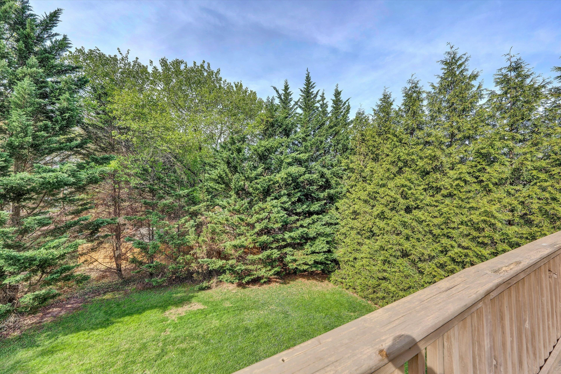 8013 Amber Wood CT - Photo 35