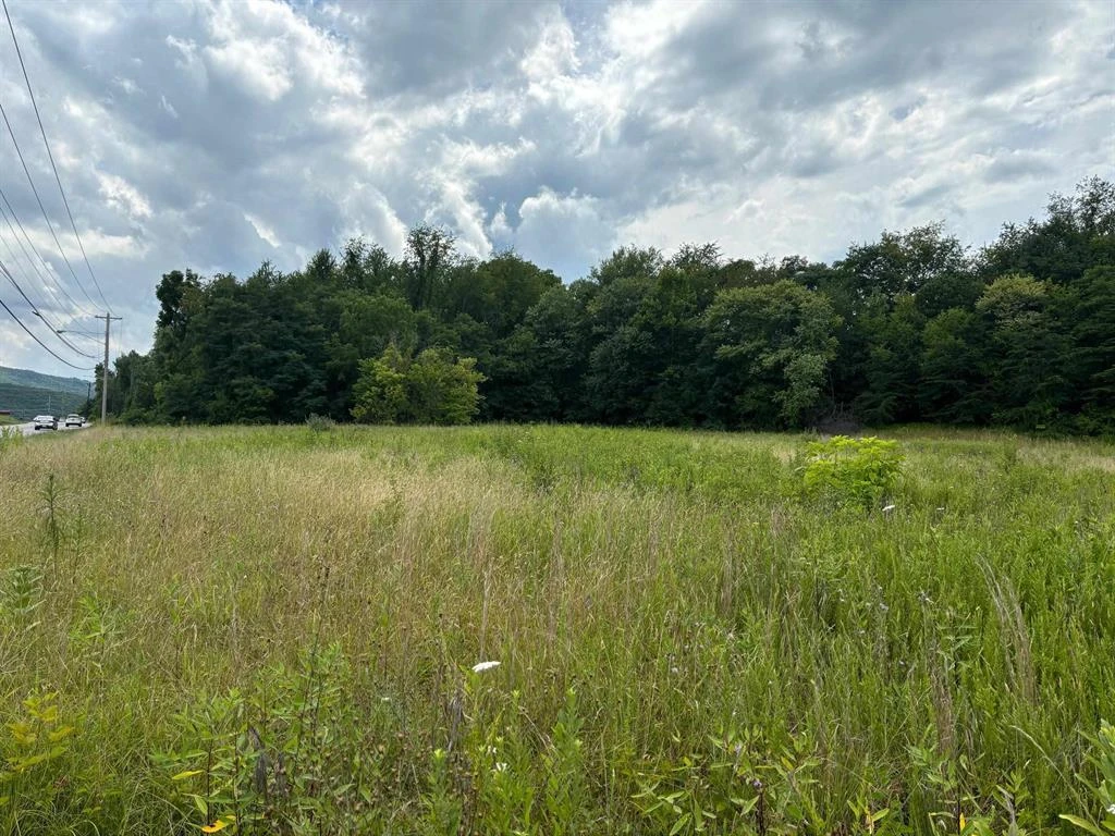 TBD Bob White BLVD - Photo 2