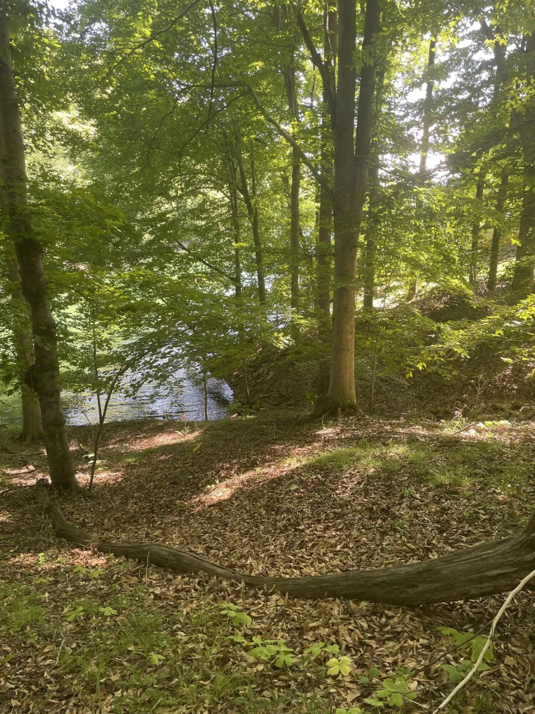 Lot 13 Little Creek RD - Photo 6