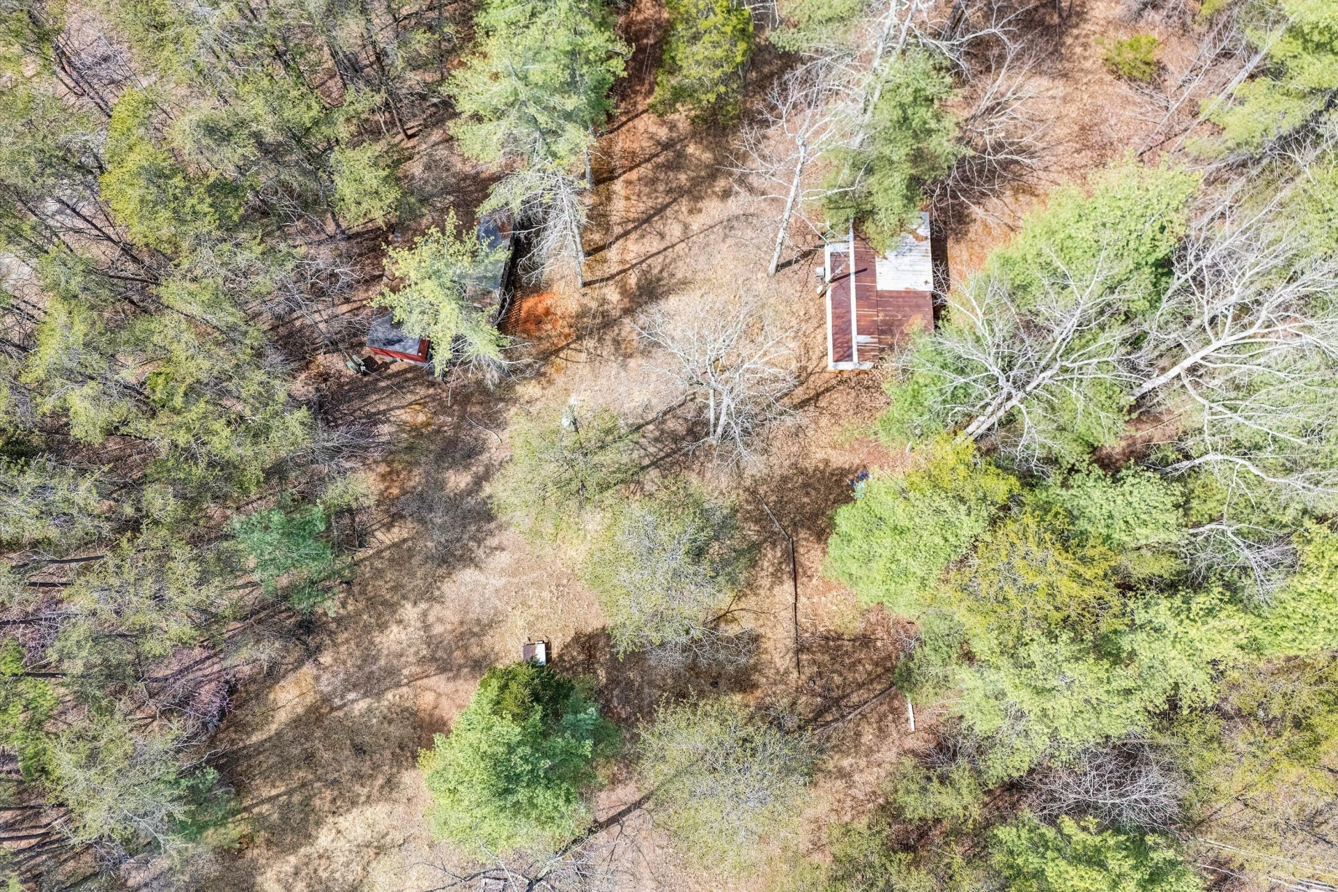 TBD Judy LN - Photo 13