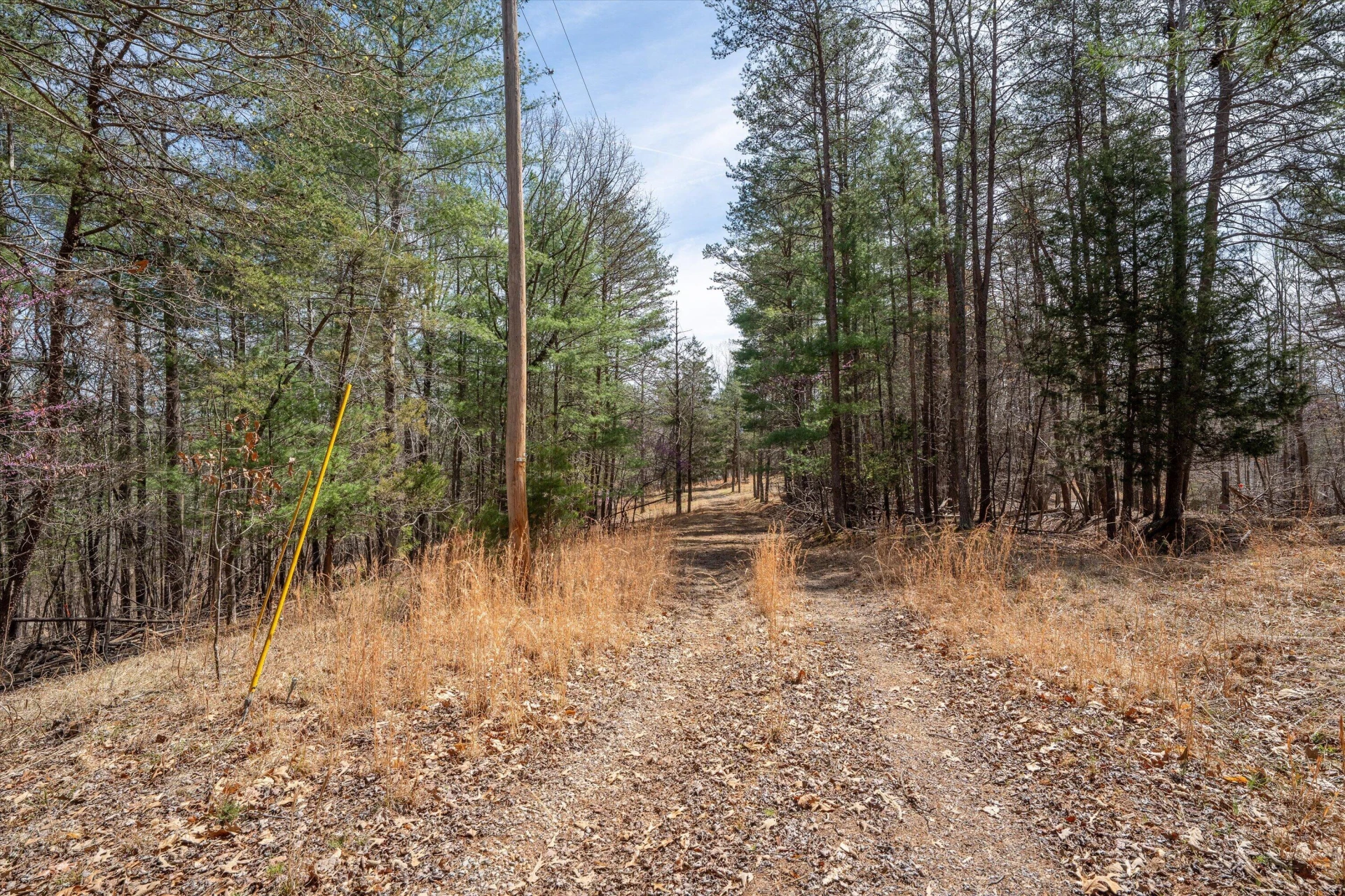 TBD Judy LN - Photo 14