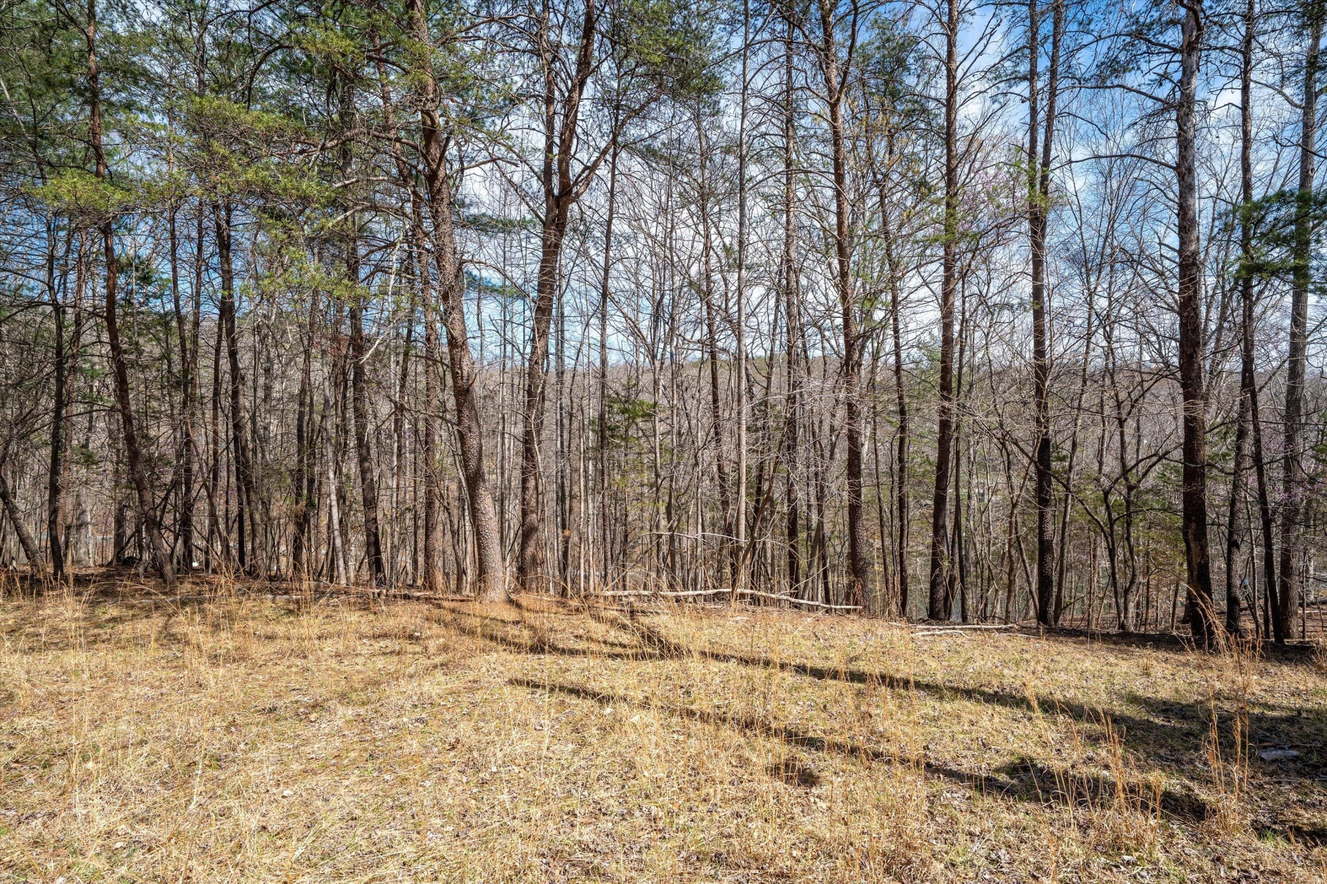 TBD Judy LN - Photo 17