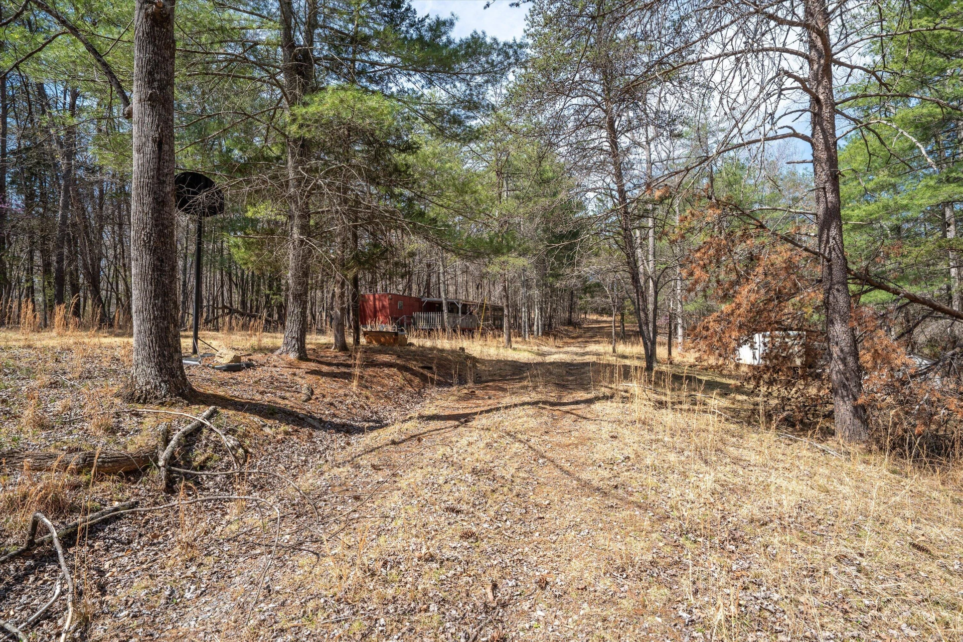 TBD Judy LN - Photo 18