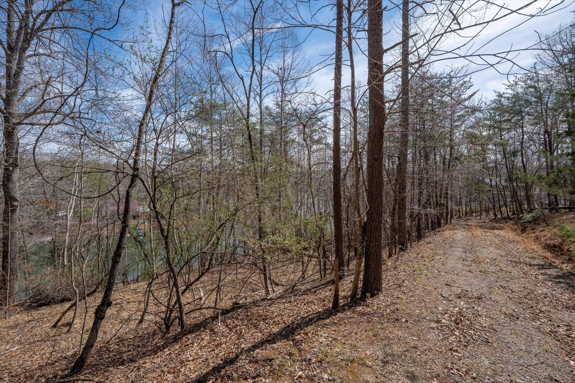 TBD Judy LN - Photo 21
