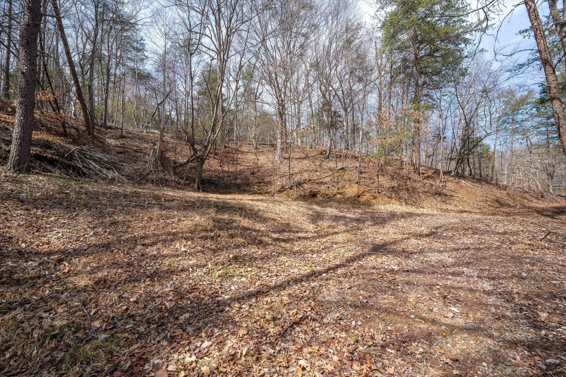 TBD Judy LN - Photo 24