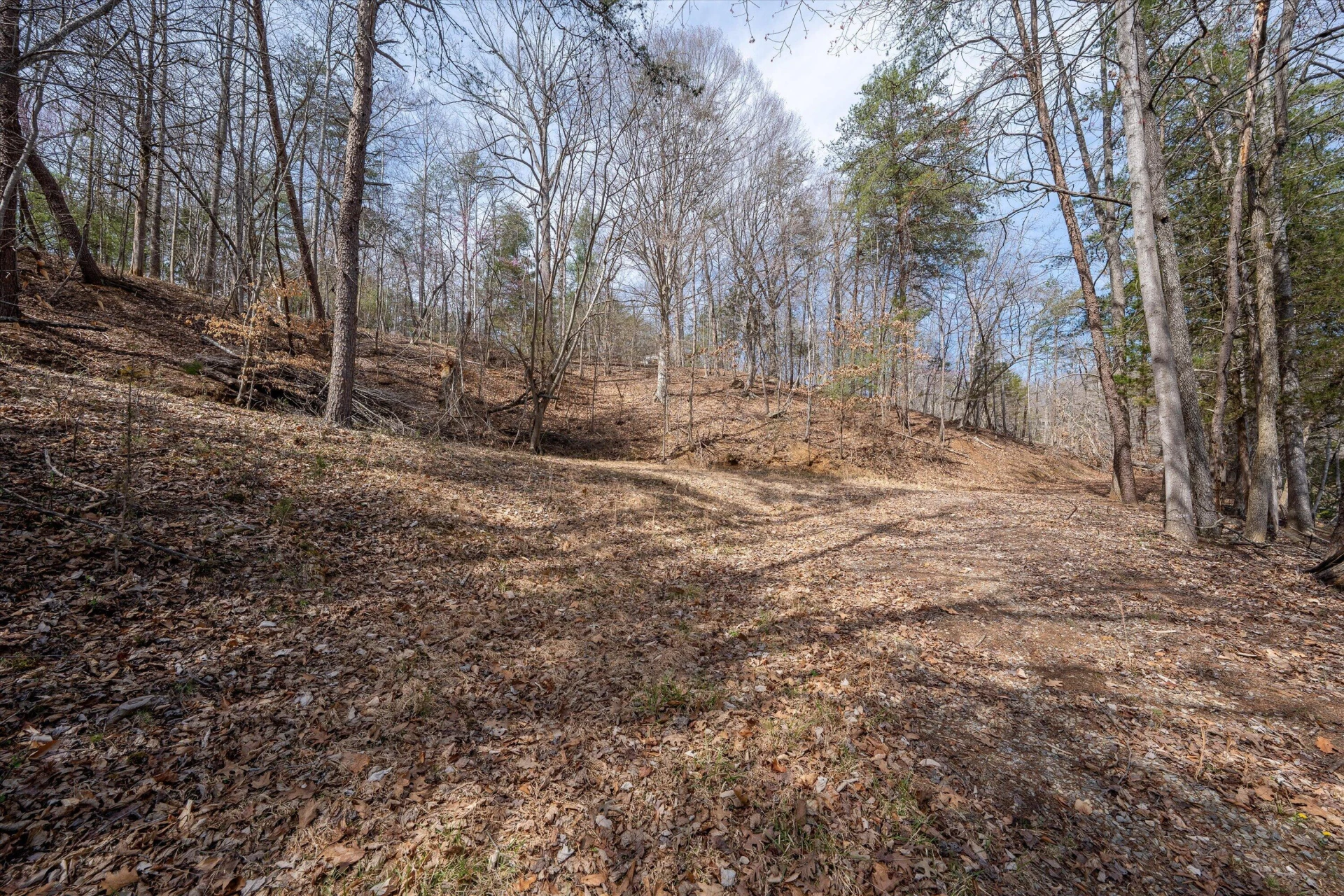 TBD Judy LN - Photo 29