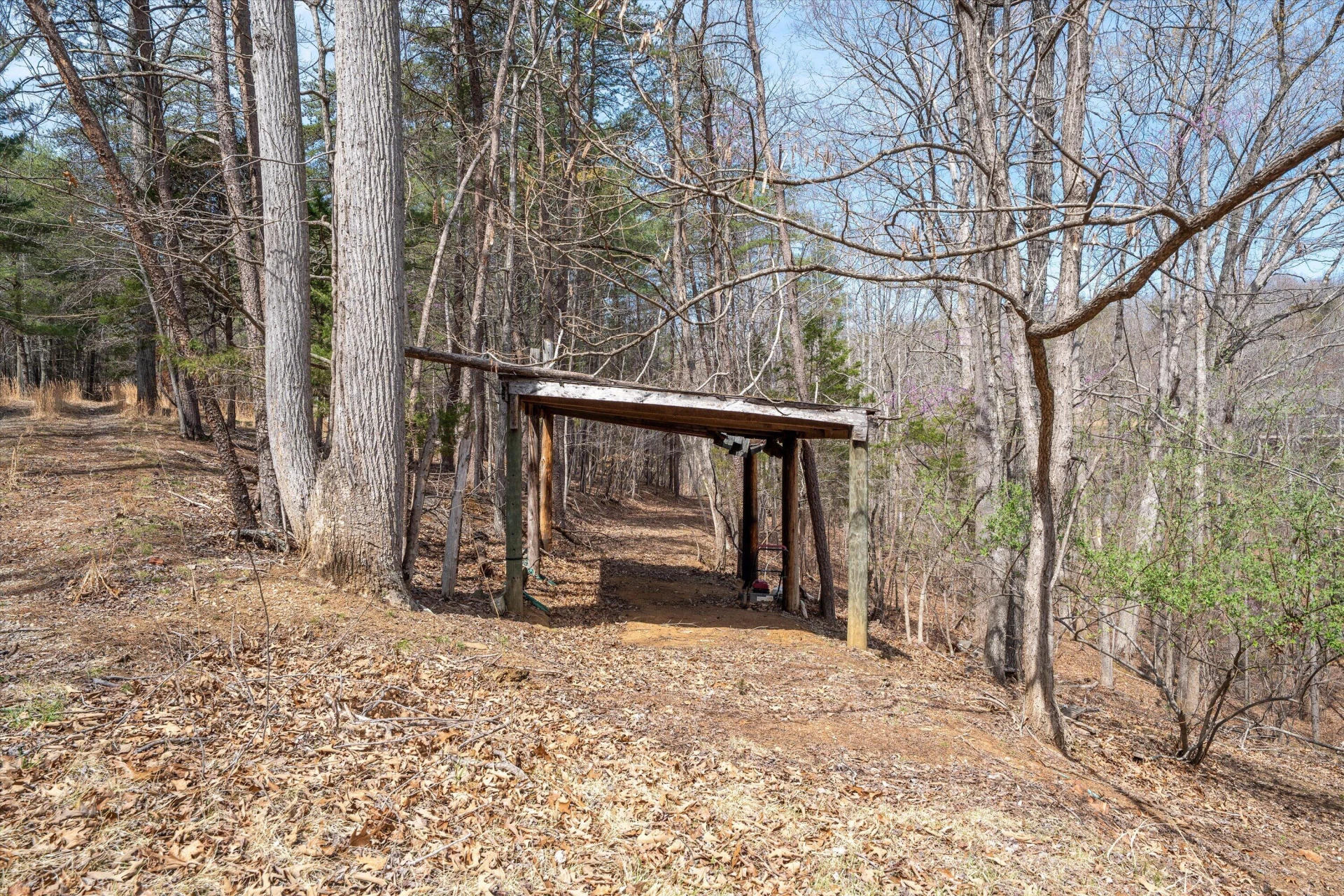 TBD Judy LN - Photo 31
