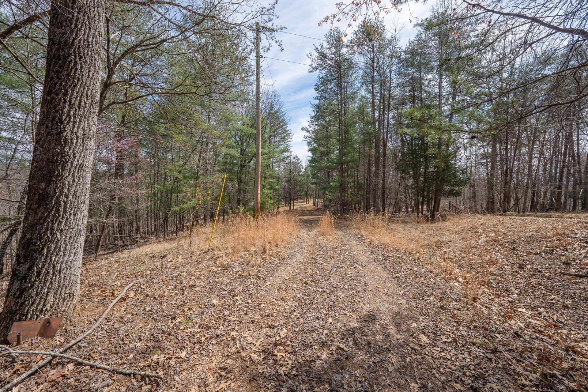 TBD Judy LN - Photo 33