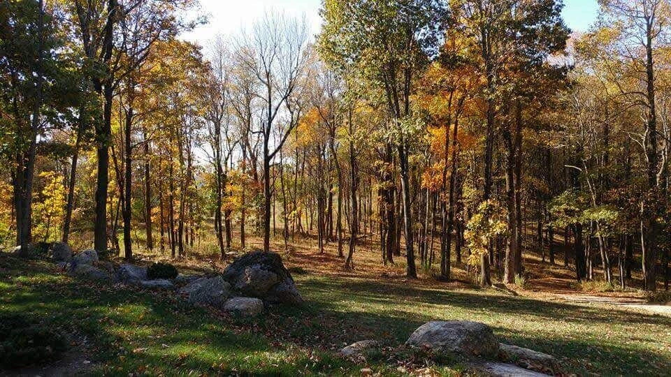 10229 Sugar Camp Creek RD - Photo 49