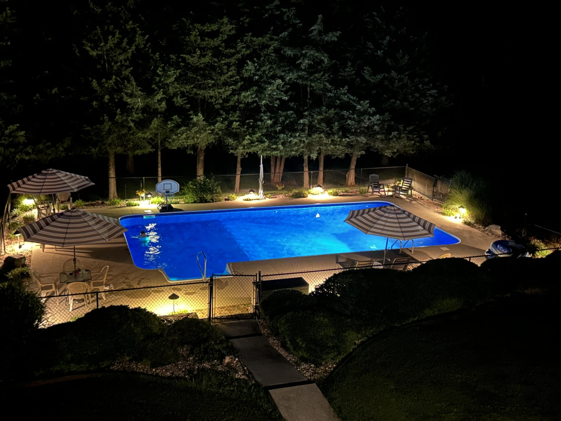 209 Big Maple DR - Photo 14