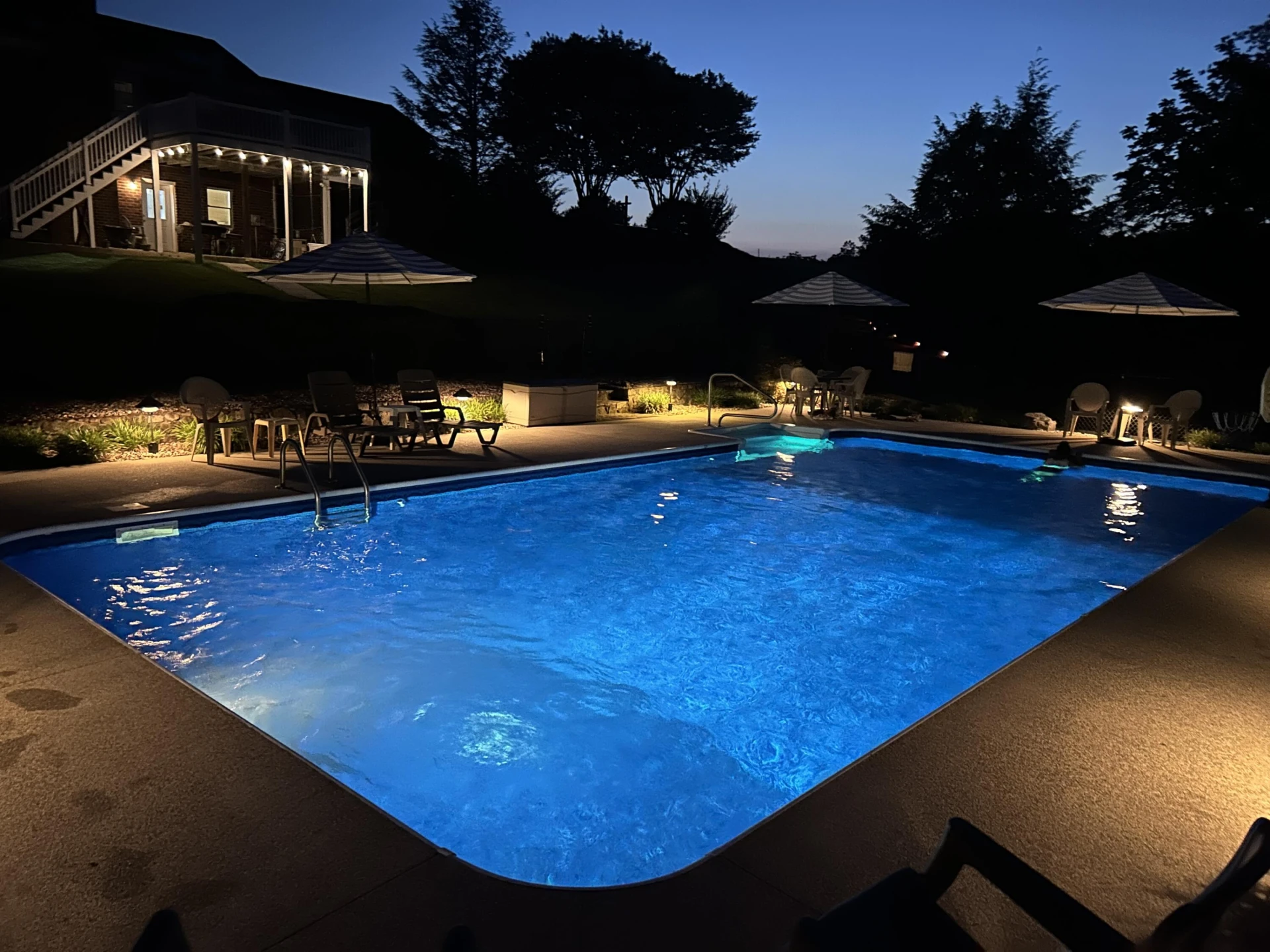 209 Big Maple DR - Photo 47