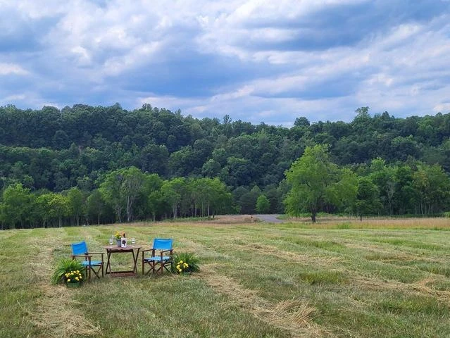 Lot 34 Moorman RD - Photo 2