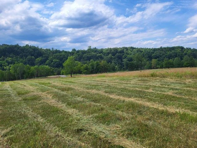 Lot 34 Moorman RD - Photo 3