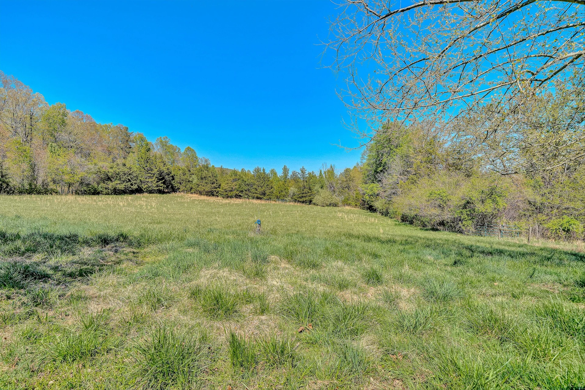 1220 HOLLEY RIDGE RD - Photo 44