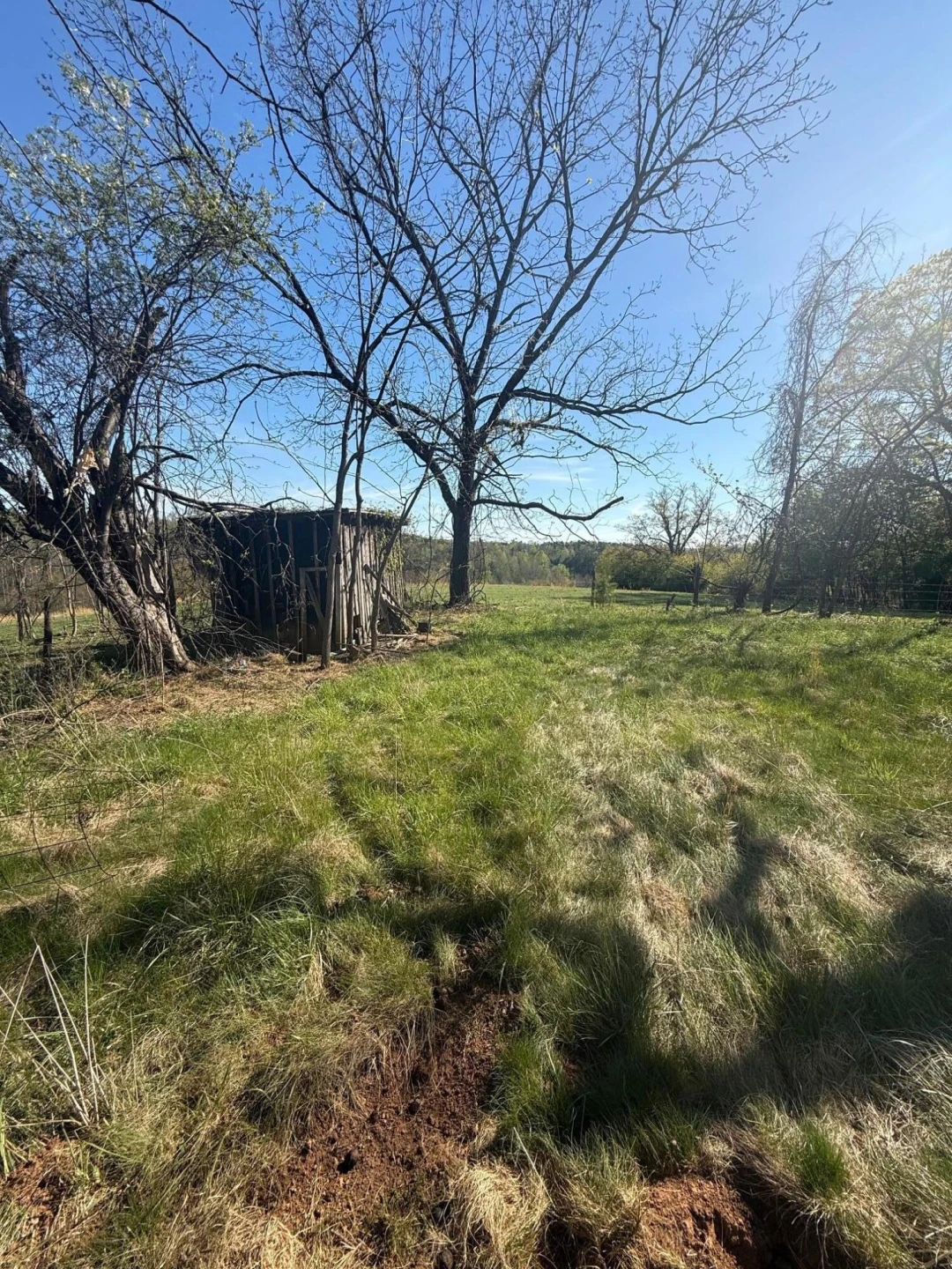 60 Ashgrove LN - Photo 8