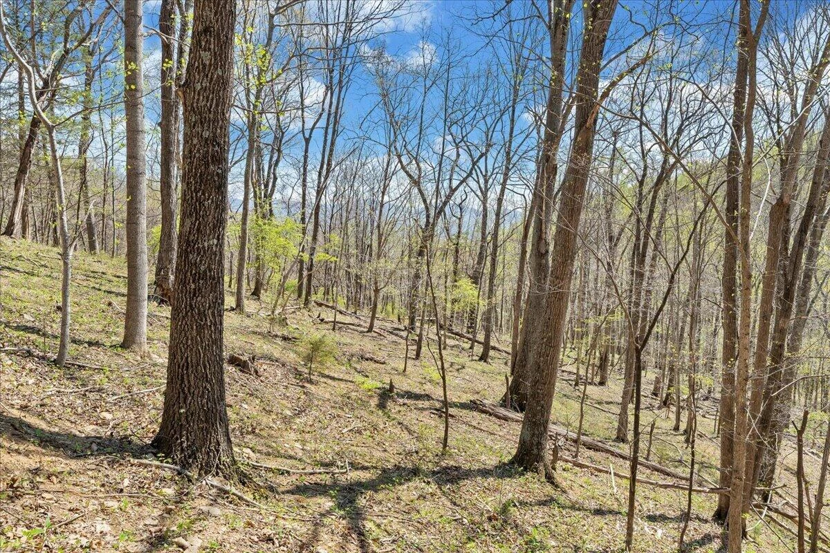 0 Short Hill DR - Photo 25