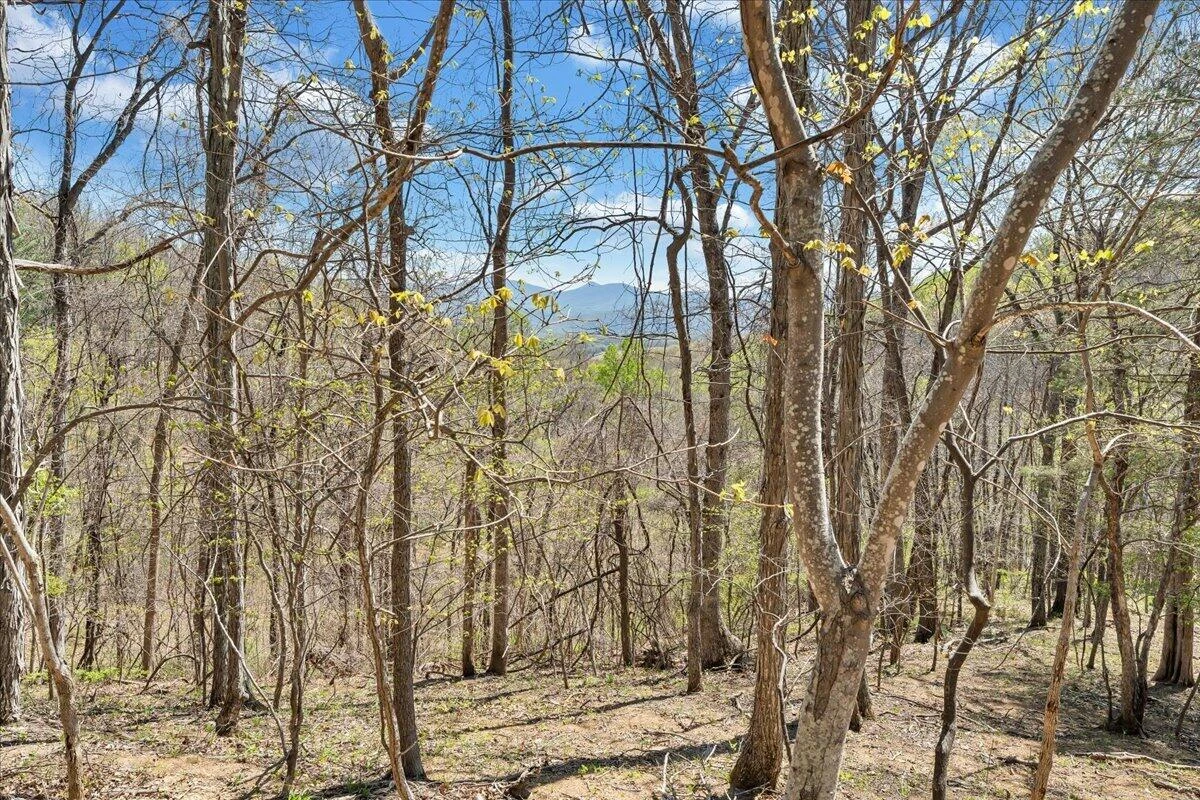 0 Short Hill DR - Photo 26