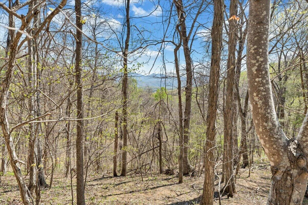 0 Short Hill DR - Photo 27
