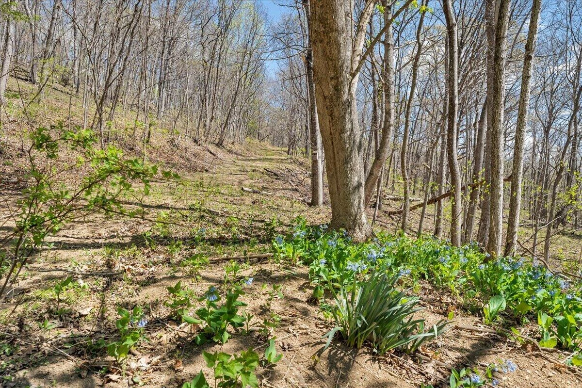 0 Short Hill DR - Photo 5