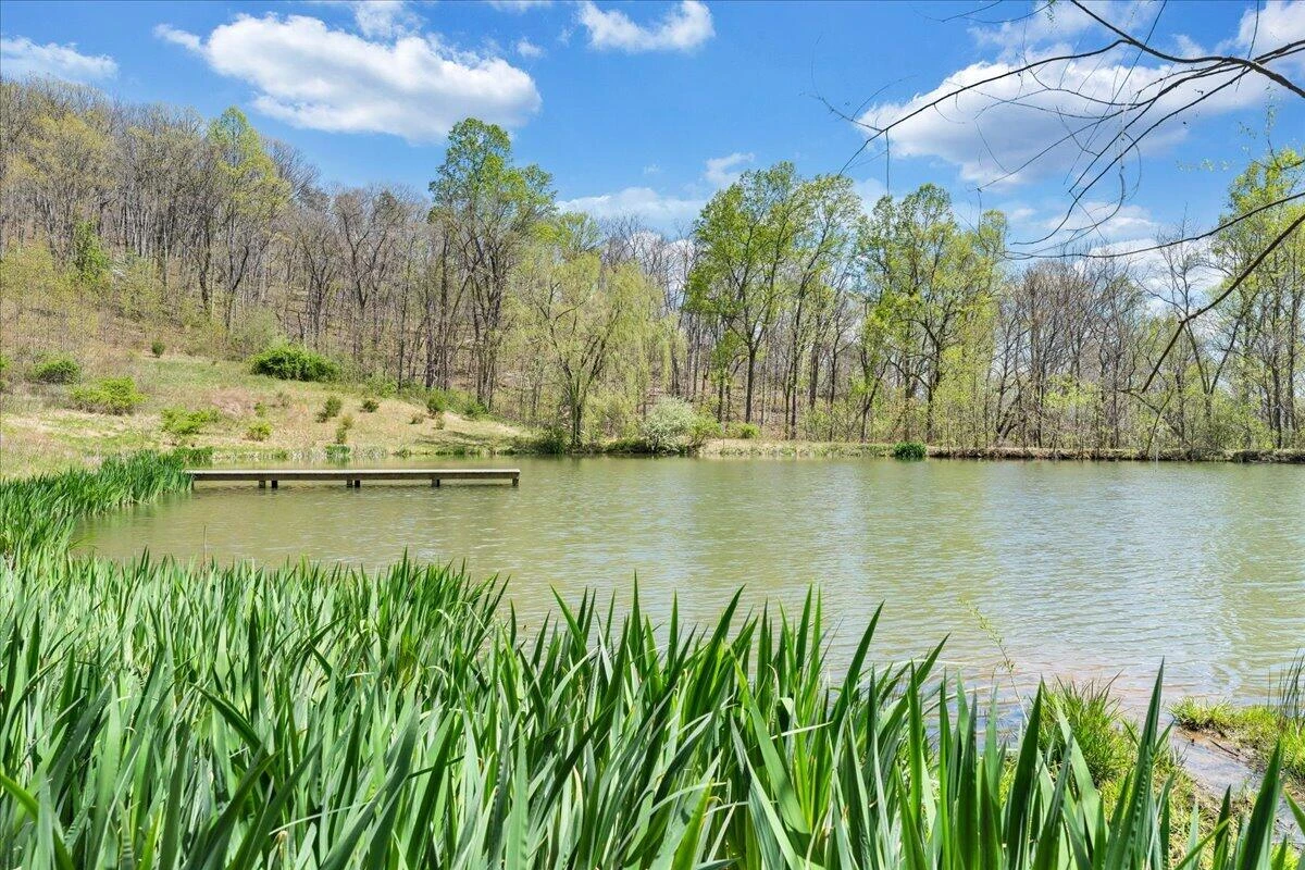 0 Short Hill DR - Photo 9