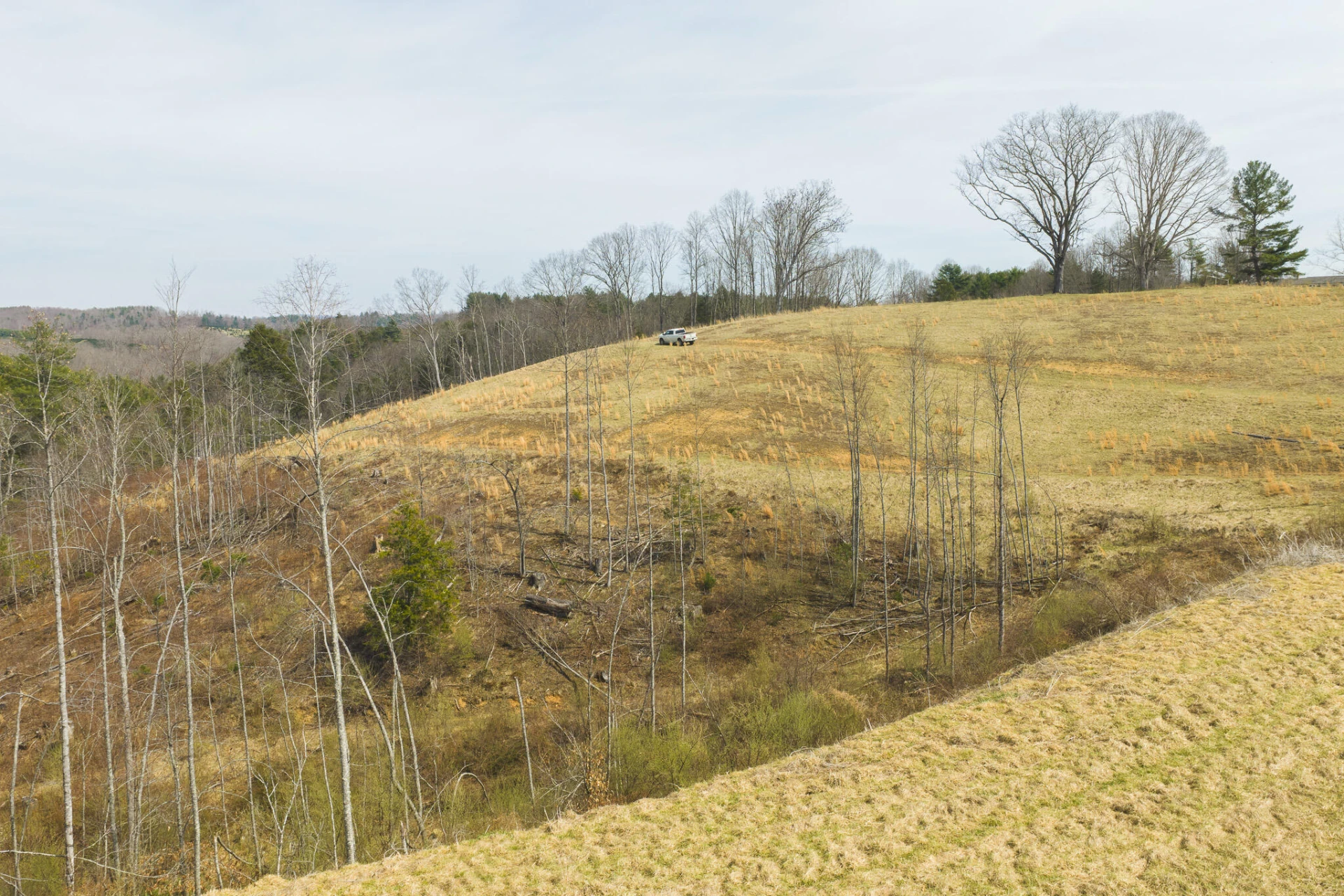 TBD Carsonville RD - Photo 11